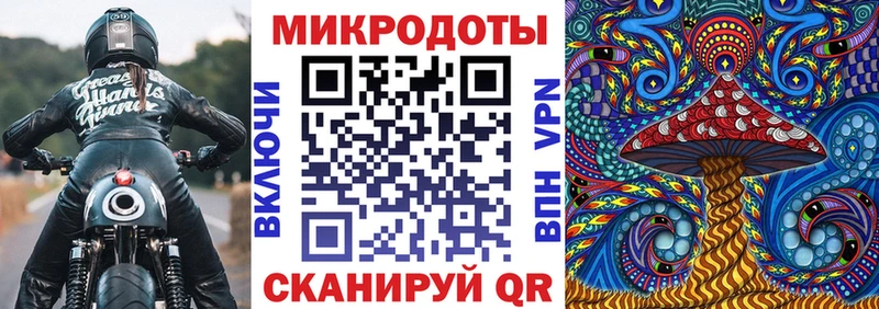 OMG вход  Терек  Галлюциногенные грибы ЛСД 